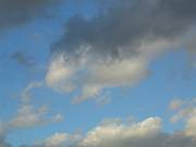 2005-10-23 17-10-25 Octobre 112,7mm 1_400_eme F4,9 